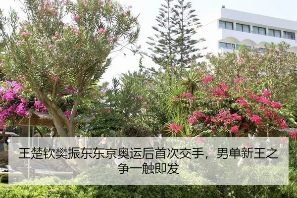 wang-chu-qin-fan-zhen-dong-dong-jing-ao-yun-hou-shou-ci-jiao-shou-nan-dan-xin-wang-zhi-zheng-yi-chu-ji-fa-1-952.jpg